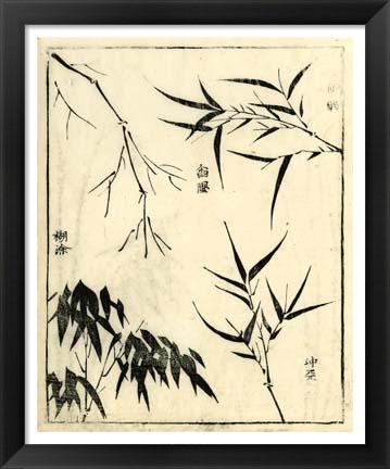 Framed Bamboo Woodblock I Print