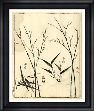 Framed Bamboo Woodblock II Print