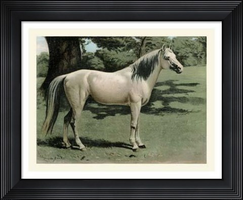 Framed Cassell&#39;s Horse I Print