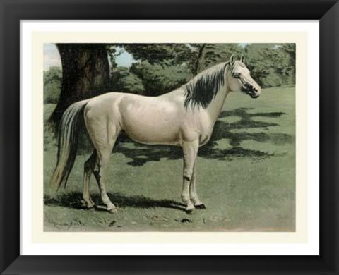 Framed Cassell&#39;s Horse I Print