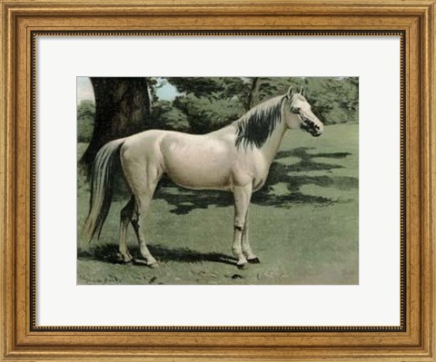 Framed Cassell&#39;s Horse I Print