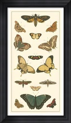 Framed Butterfly Panel I Print