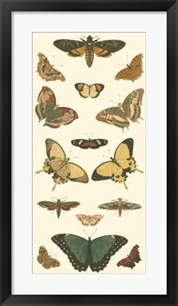 Framed Butterfly Panel I Print