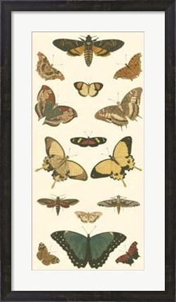 Framed Butterfly Panel I Print