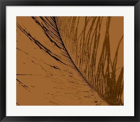 Framed Feathered Impression II Print