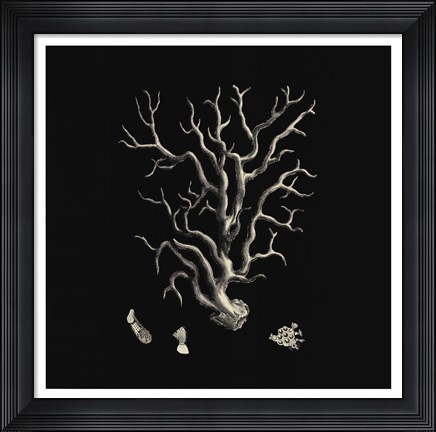 Framed Black And Tan Coral I Print