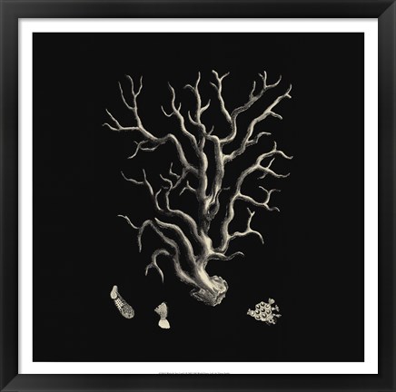 Framed Black And Tan Coral I Print