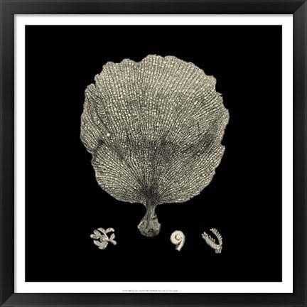 Framed Black And Tan Coral II Print