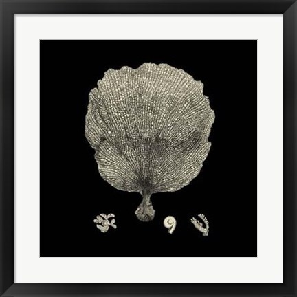 Framed Black And Tan Coral II Print
