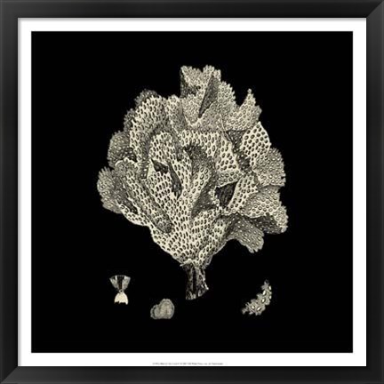 Framed Black And Tan Coral IV Print