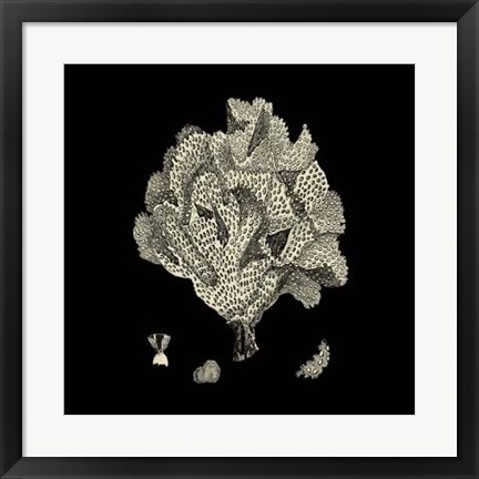 Framed Black And Tan Coral IV Print