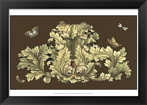 Framed Small Nature&#39;s Splendor On Chocolate I Print