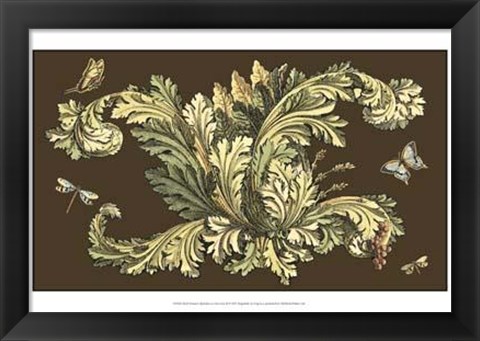 Framed Small Nature&#39;s Splendor On Chocolate II Print