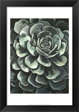 Framed Printed Lunar Succulent II Print