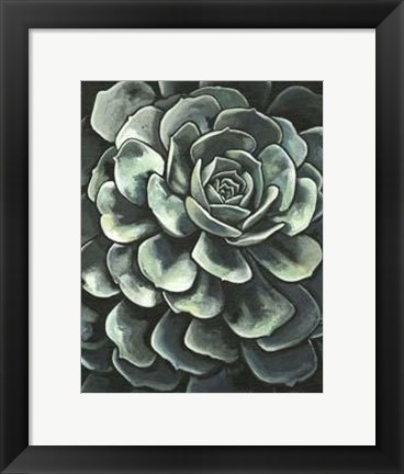 Framed Printed Lunar Succulent II Print