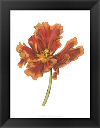 Framed Tulip Beauty I Print