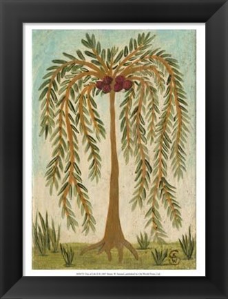 Framed Tree Of Life II Print