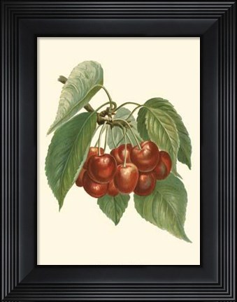 Framed Red Cherries Print