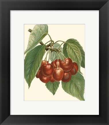Framed Red Cherries Print