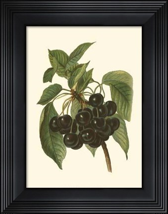 Framed Black Cherries Print