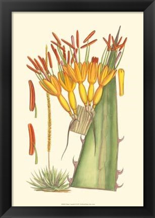 Framed Vibrant Tropicals I Print