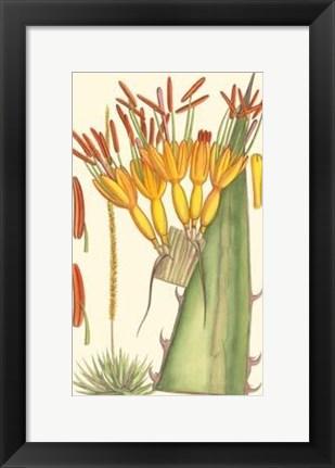 Framed Vibrant Tropicals I Print