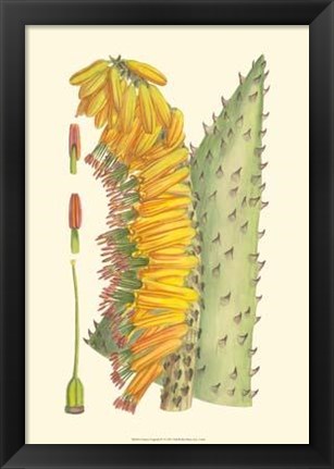Framed Vibrant Tropicals IV Print