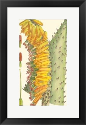 Framed Vibrant Tropicals IV Print