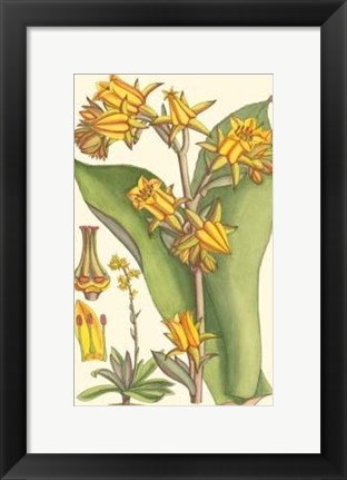 Framed Vibrant Tropicals VI Print