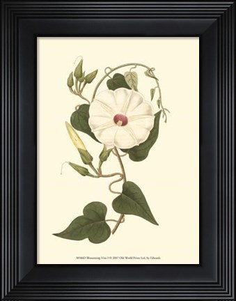 Framed Blossoming Vine I Print