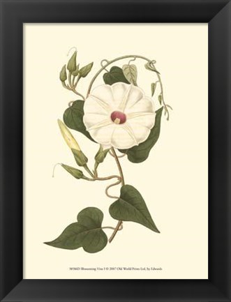 Framed Blossoming Vine I Print