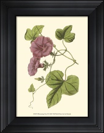 Framed Blossoming Vine II Print