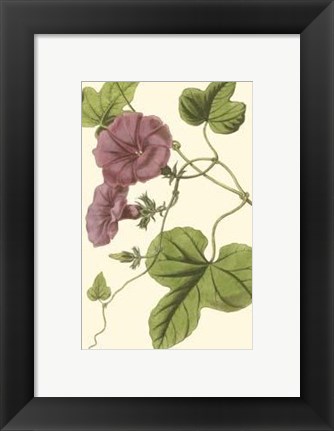 Framed Blossoming Vine II Print