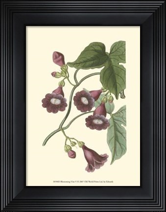 Framed Blossoming Vine V Print