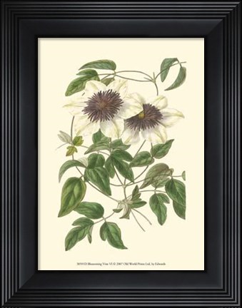 Framed Blossoming Vine VI Print