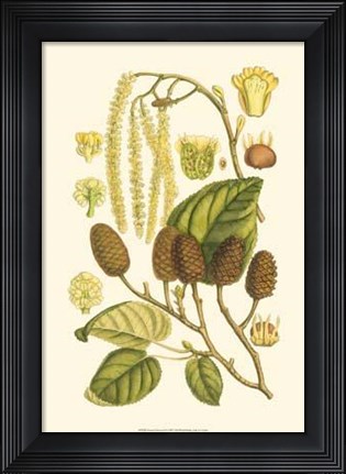 Framed Natural Harvest I Print