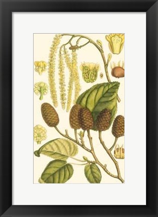 Framed Natural Harvest I Print