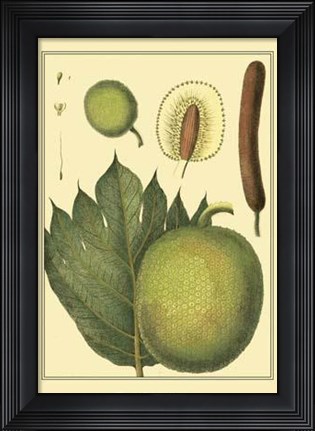 Framed Exotic Melons I Print