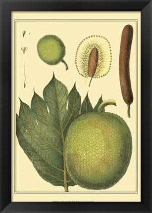 Framed Exotic Melons I Print