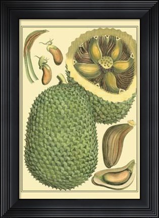 Framed Exotic Melons II Print