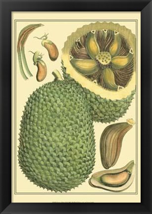 Framed Exotic Melons II Print
