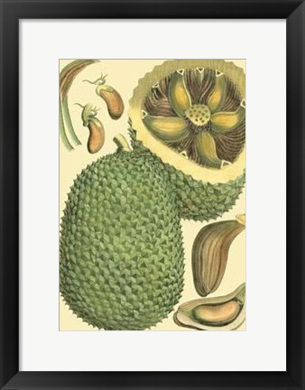 Framed Exotic Melons II Print