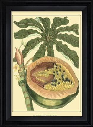 Framed Exotic Melons III Print