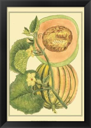 Framed Exotic Melons IV Print