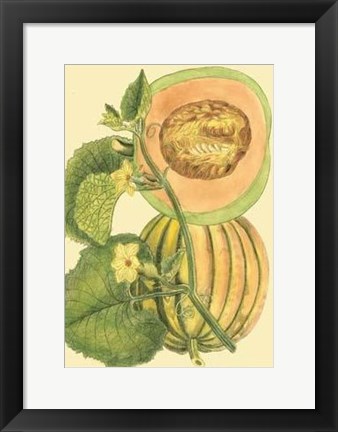 Framed Exotic Melons IV Print