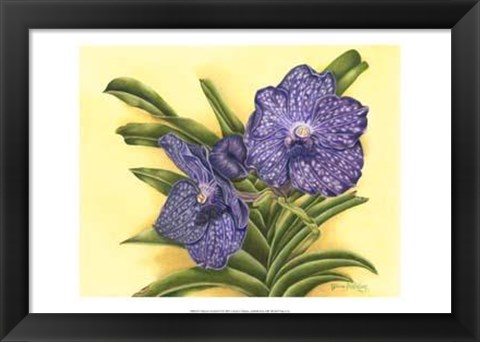 Framed Vibrant Orchid III Print