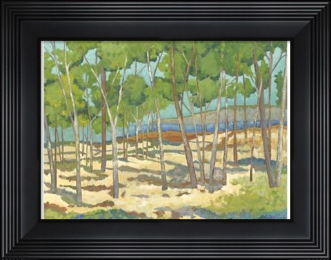 Framed Mini Western Vista I Print