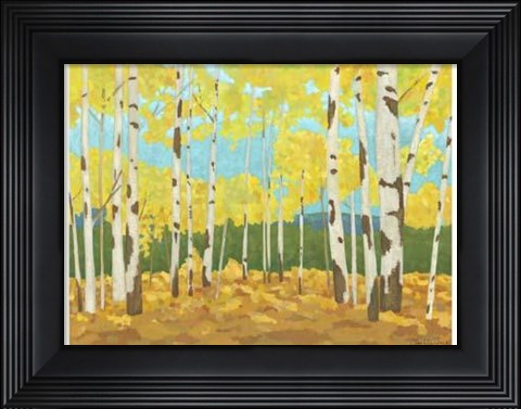 Framed Mini Western Vista II Print