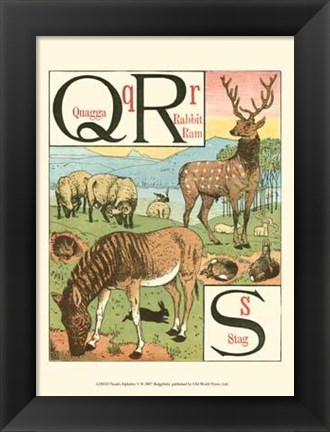 Framed Noah&#39;s Alphabet V Print