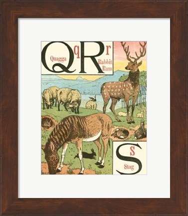 Framed Noah&#39;s Alphabet V Print